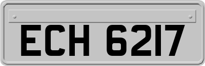 ECH6217