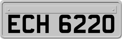 ECH6220