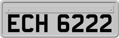 ECH6222