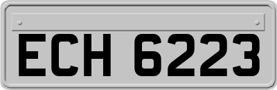 ECH6223