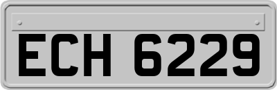 ECH6229