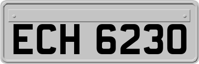 ECH6230