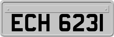 ECH6231