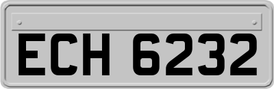 ECH6232