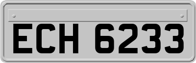 ECH6233