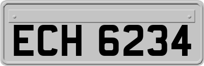 ECH6234