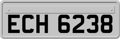 ECH6238