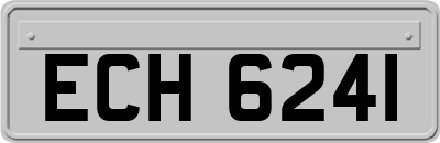 ECH6241