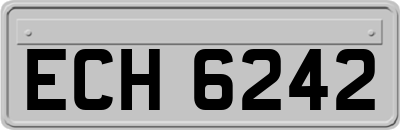 ECH6242