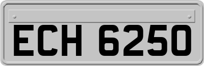 ECH6250