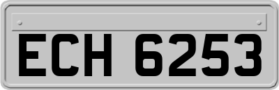 ECH6253