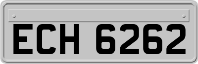 ECH6262
