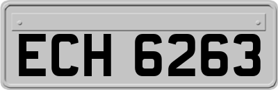 ECH6263