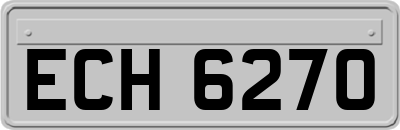 ECH6270