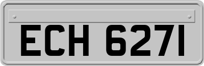 ECH6271