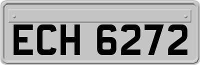 ECH6272