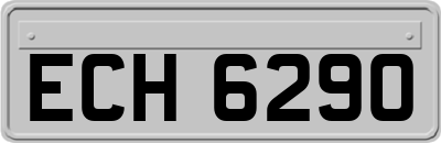 ECH6290