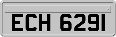 ECH6291