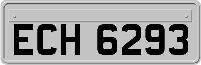 ECH6293