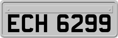 ECH6299
