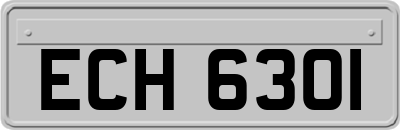 ECH6301