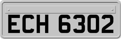 ECH6302