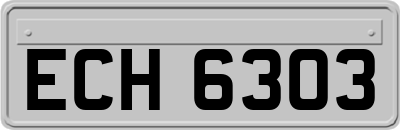 ECH6303