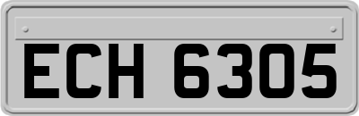ECH6305