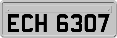 ECH6307