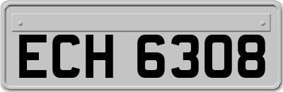 ECH6308