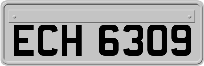 ECH6309