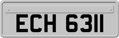 ECH6311