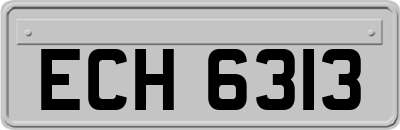 ECH6313