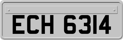 ECH6314