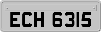 ECH6315