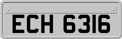 ECH6316