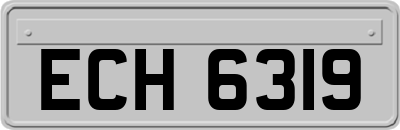 ECH6319