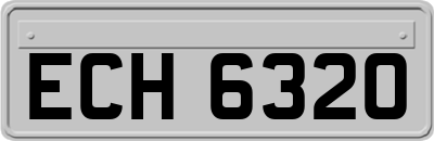 ECH6320