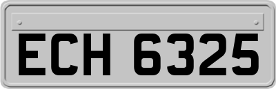 ECH6325