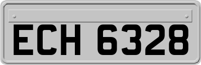 ECH6328