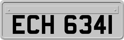 ECH6341