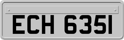 ECH6351