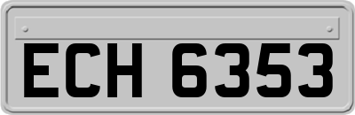 ECH6353