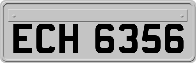 ECH6356