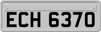ECH6370