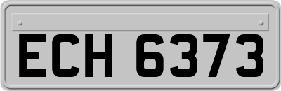 ECH6373
