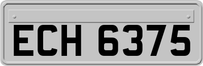 ECH6375
