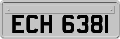 ECH6381