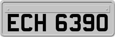 ECH6390