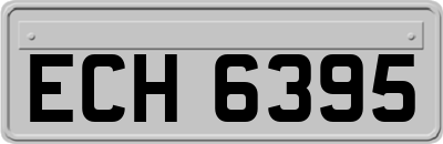 ECH6395
